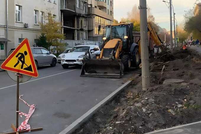 Скандал с Гижицкой: Новосибирцев беспокоит вырубка деревьев