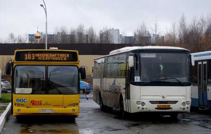 «ПАТП-1» провалило тендер в Сургуте