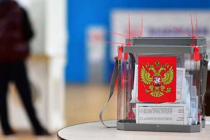 Депутаты Госдумы предлагают скрыть информацию о доходах и судимостях кандидатов